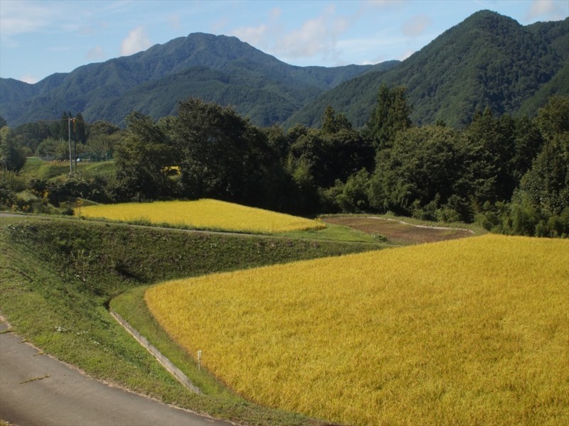 f:id:hashiba511:20170914043556j:image