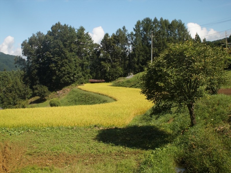 f:id:hashiba511:20170914043609j:image