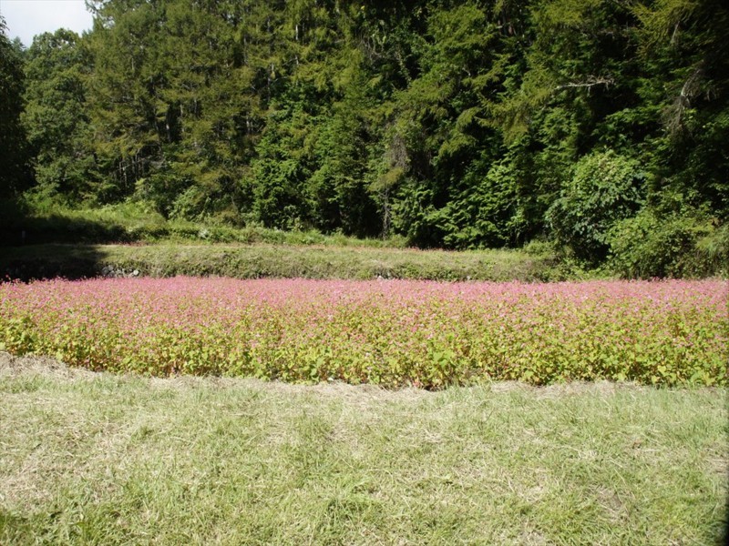 f:id:hashiba511:20170925040019j:image