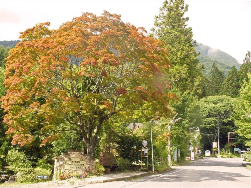 f:id:hashiba511:20170925040024j:image