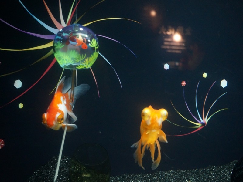 f:id:hashiba511:20170928065059j:image