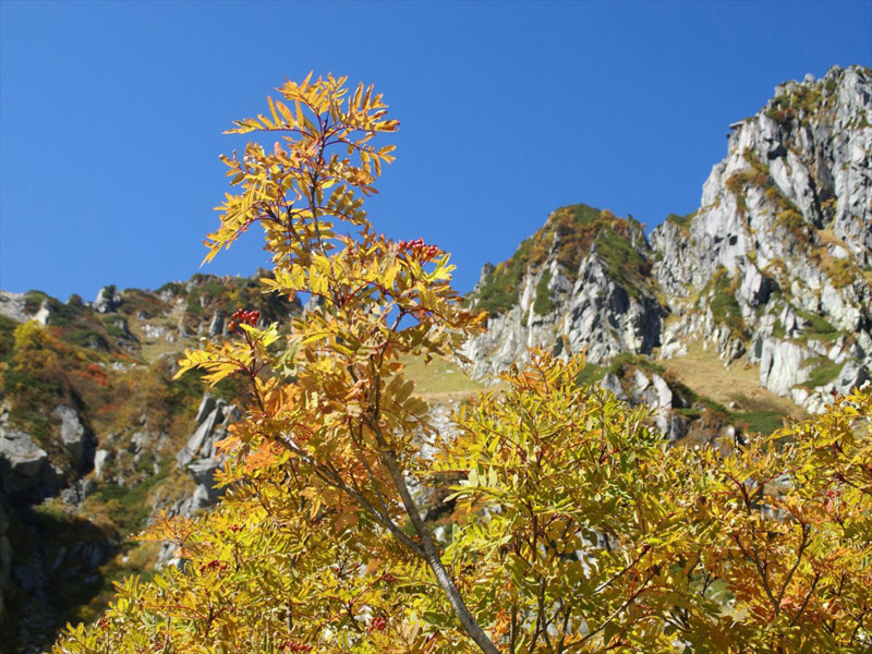 f:id:hashiba511:20170930143911j:image