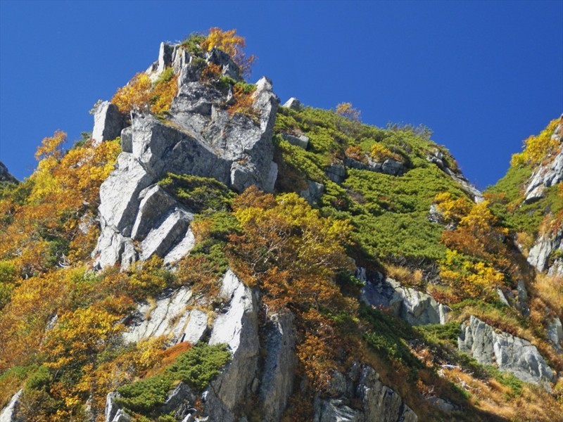 f:id:hashiba511:20170930143919j:image