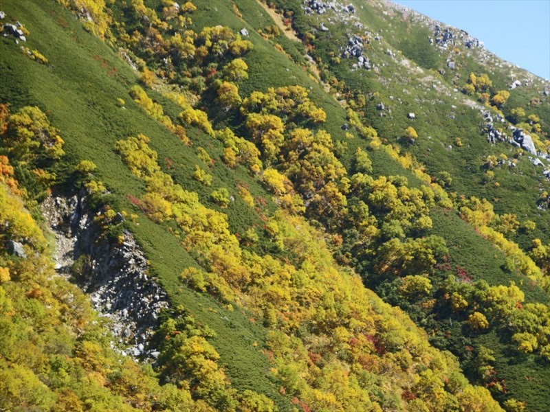 f:id:hashiba511:20170930143926j:image