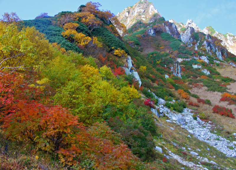 f:id:hashiba511:20170930143931j:image