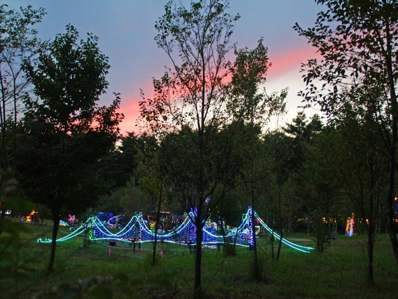 f:id:hashiba511:20171013035708j:image