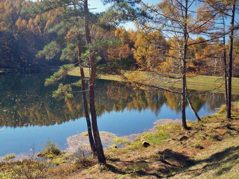 f:id:hashiba511:20171101054503j:image f:id:hashiba511:20171101054503j:image