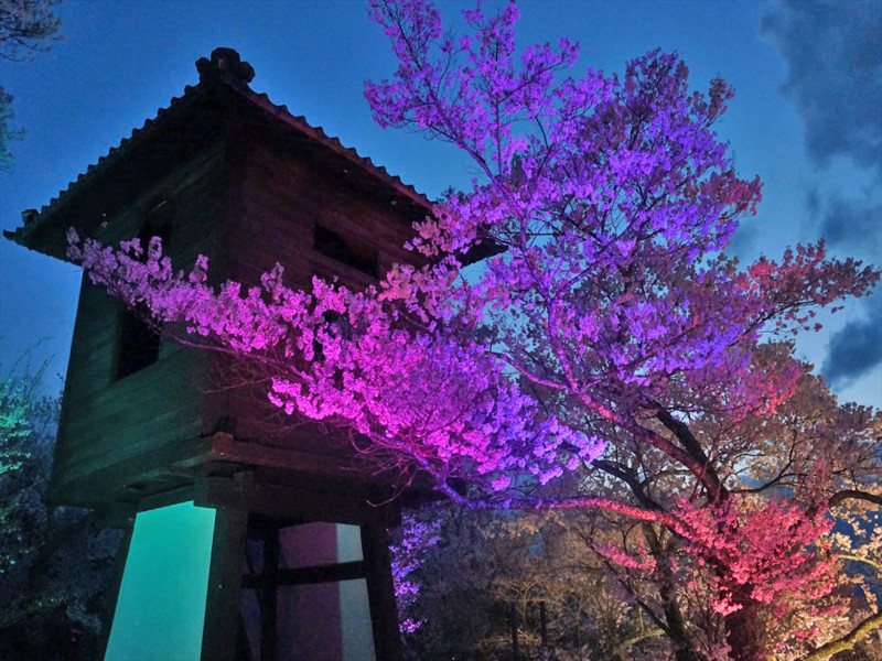 f:id:hashiba511:20180409073718j:image