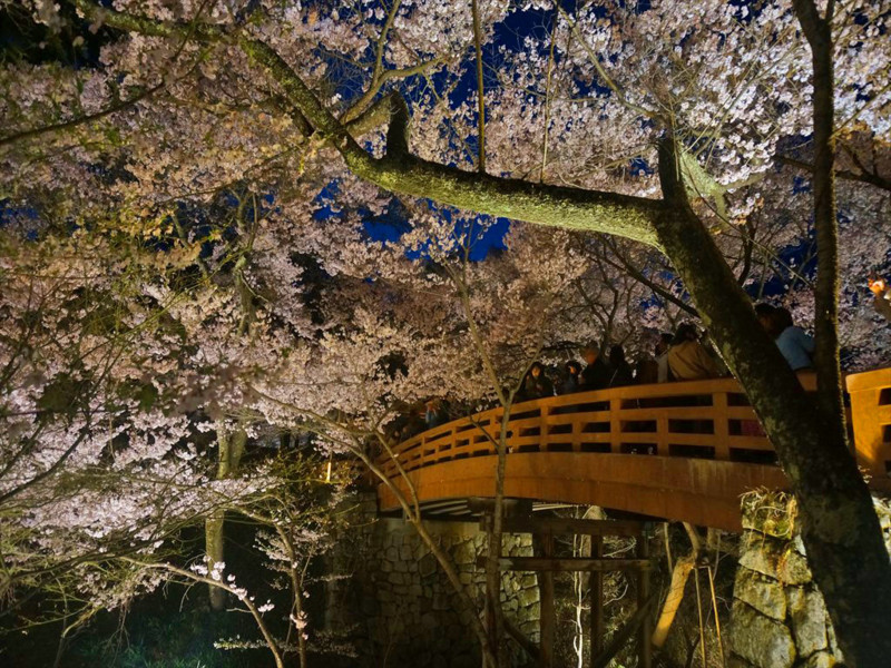 f:id:hashiba511:20180409073726j:image