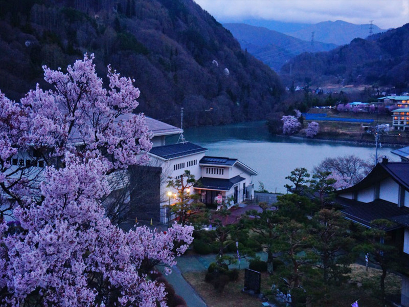 f:id:hashiba511:20180409073734j:image