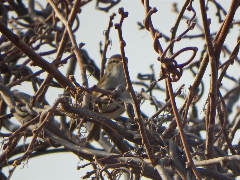 f:id:hashiba511:20180412092257j:image f:id:hashiba511:20180412092257j:image