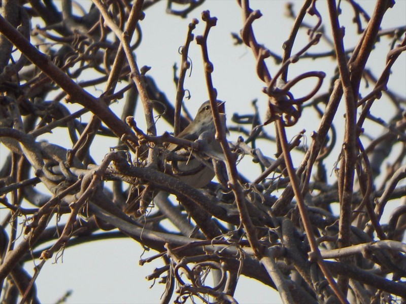 f:id:hashiba511:20180412092301j:image f:id:hashiba511:20180412092301j:image