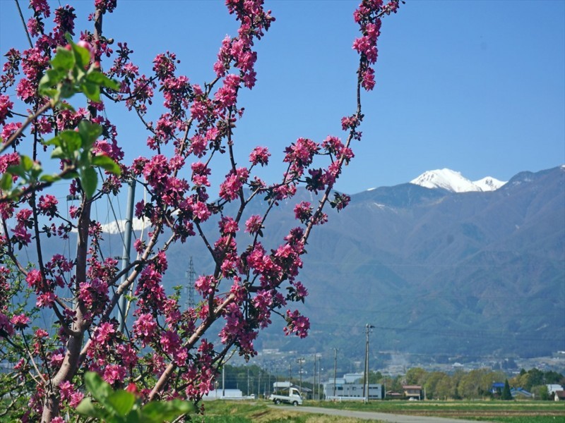 f:id:hashiba511:20180426012832j:image