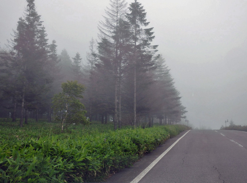 f:id:hashiba511:20180714060512j:image