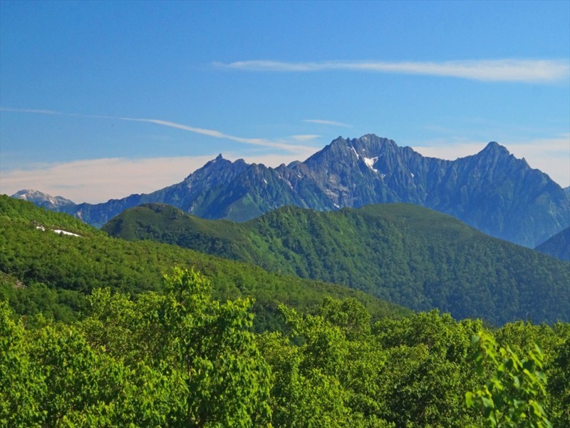 f:id:hashiba511:20180721053346j:image