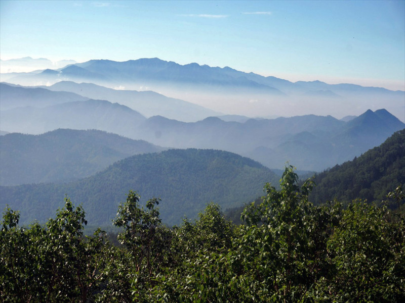 f:id:hashiba511:20180721053354j:image