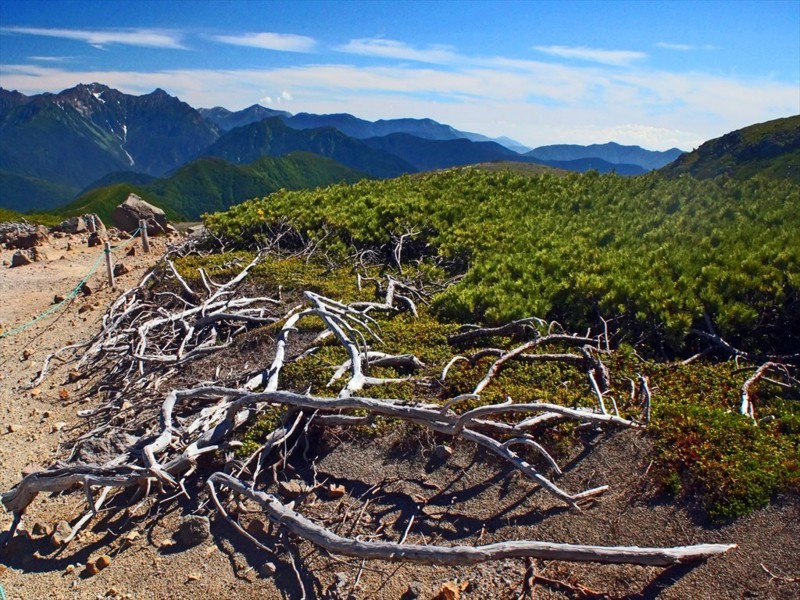 f:id:hashiba511:20180724021748j:image