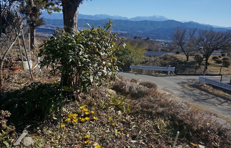 f:id:hashiba511:20190124145050j:image