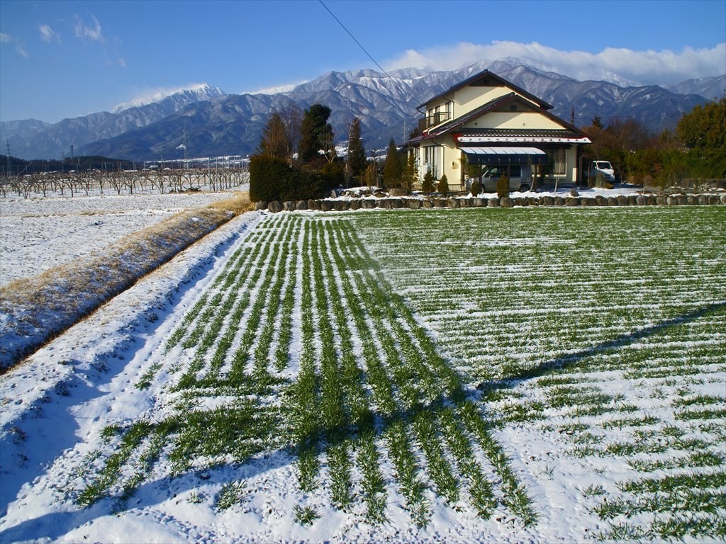 f:id:hashiba511:20190210083358j:plain
