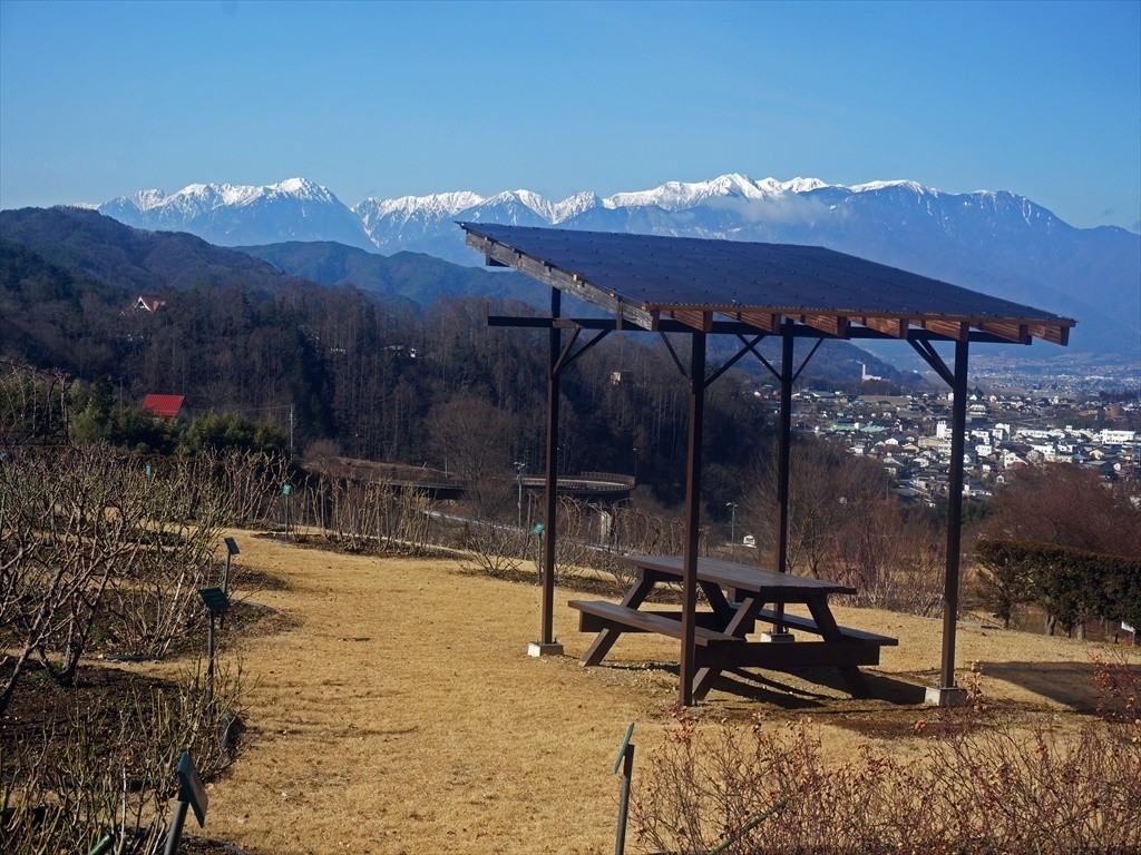 f:id:hashiba511:20190222152636j:plain