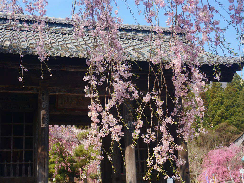 f:id:hashiba511:20190424052923j:plain