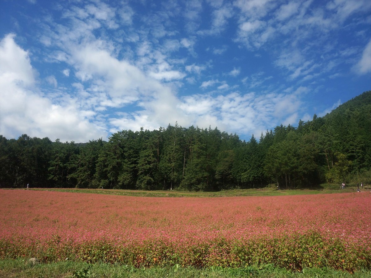 f:id:hashiba511:20190927204513j:plain