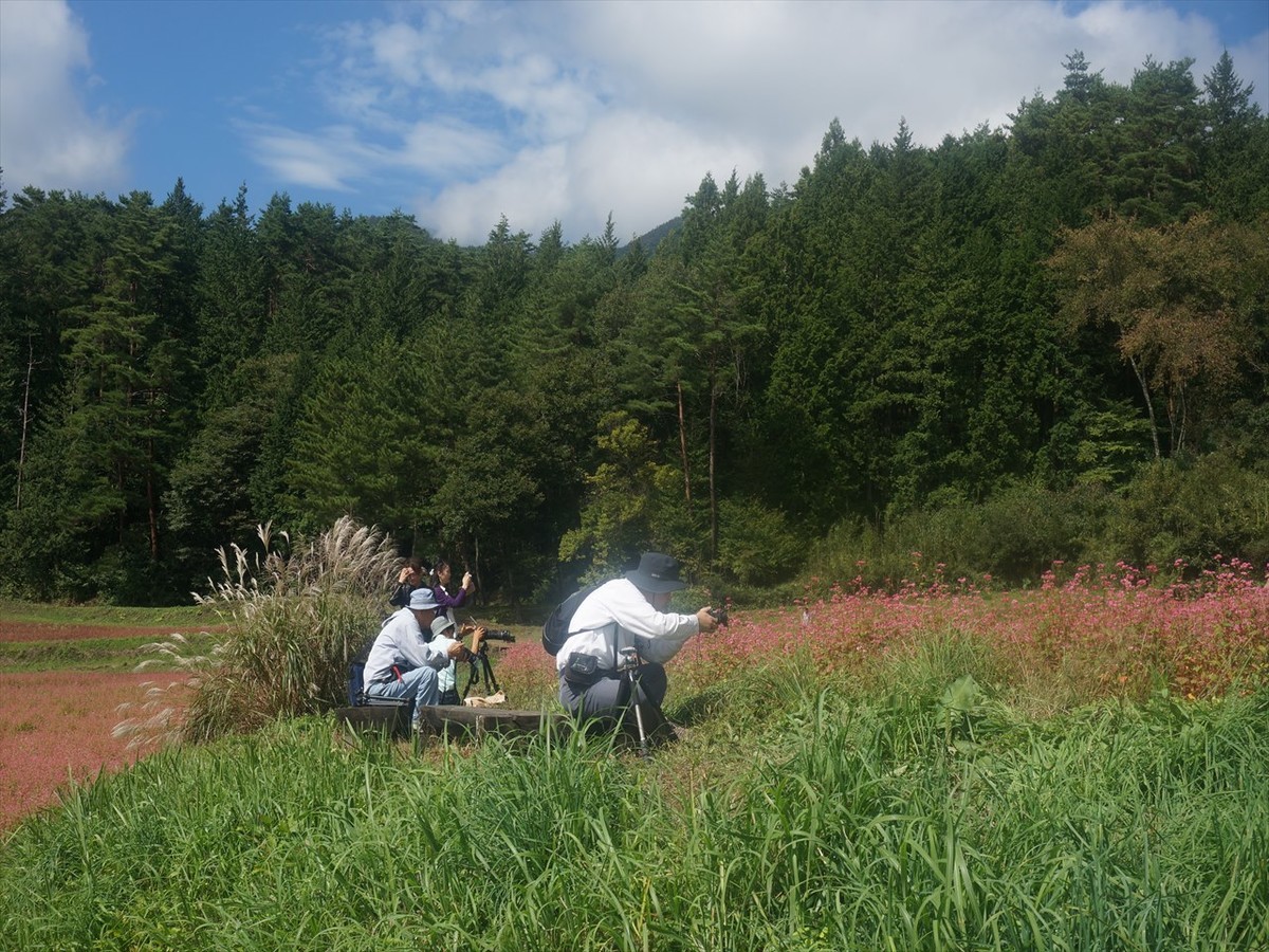 f:id:hashiba511:20190927204542j:plain