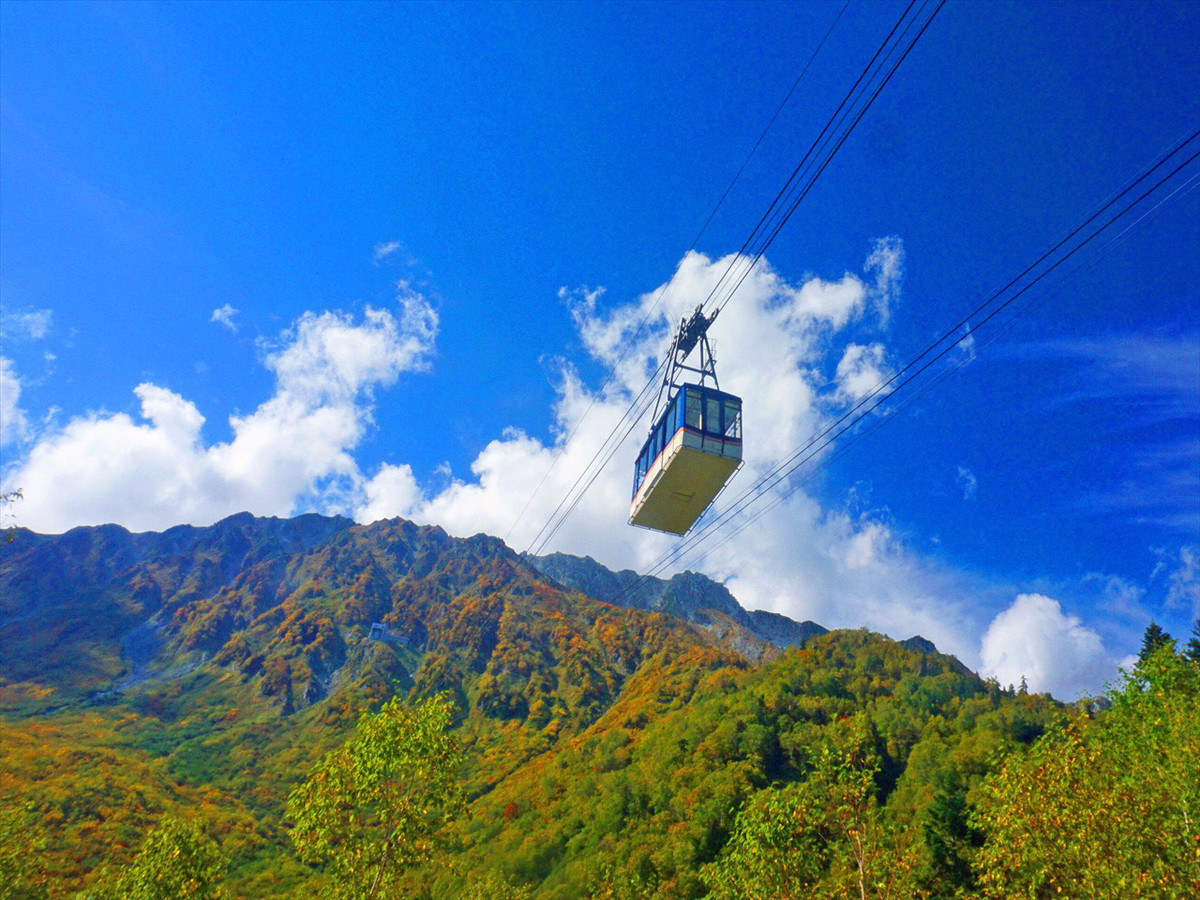 f:id:hashiba511:20191006154645j:plain