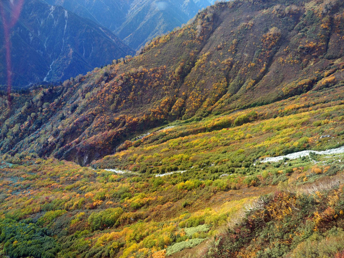 f:id:hashiba511:20191006154933j:plain