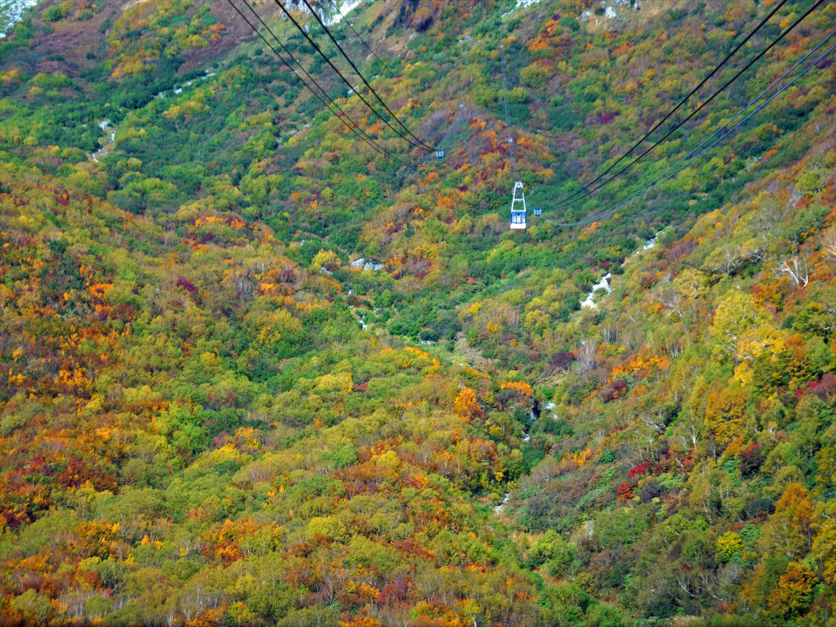 f:id:hashiba511:20191006155008j:plain