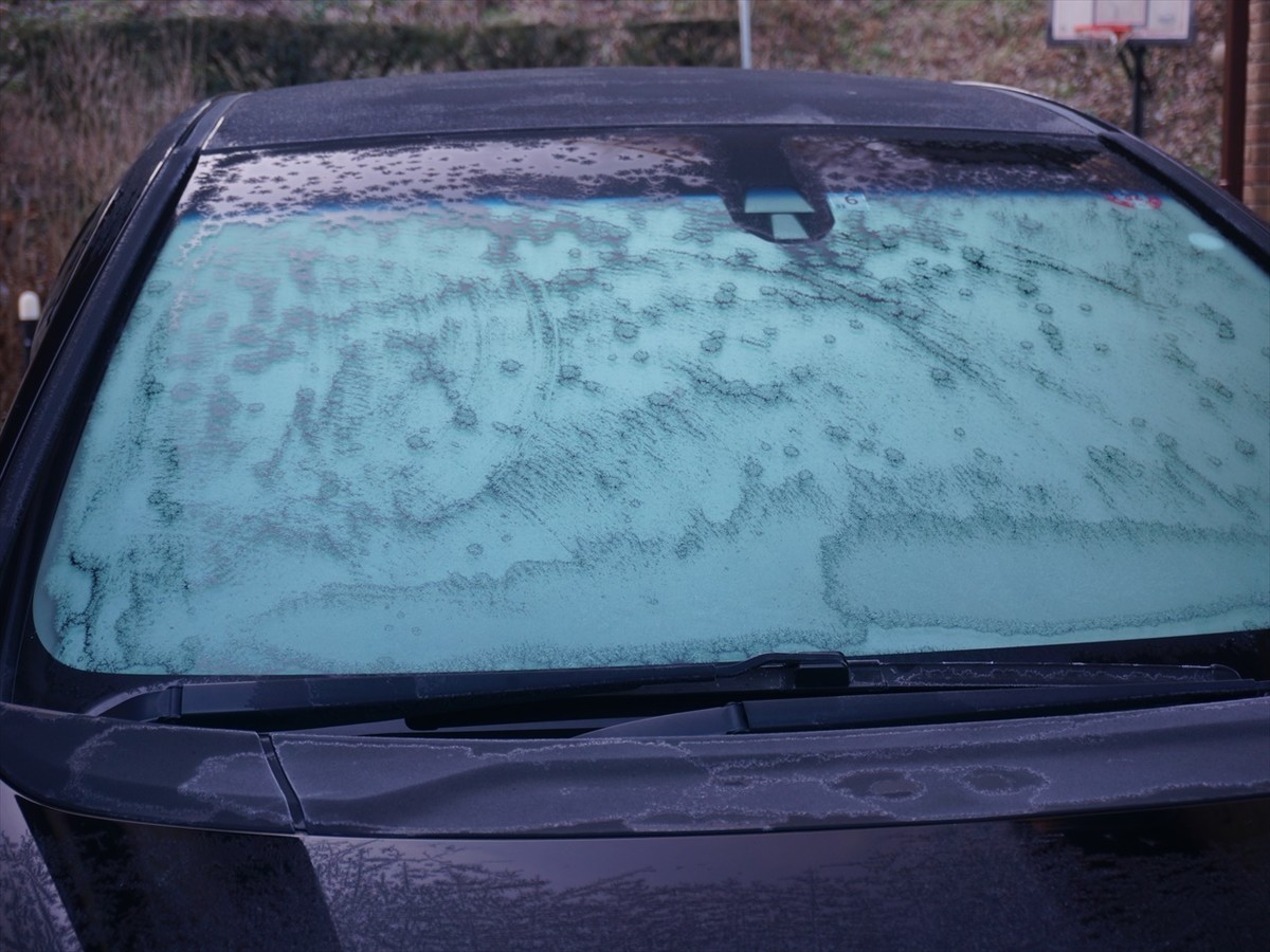 f:id:hashiba511:20191216081554j:plain