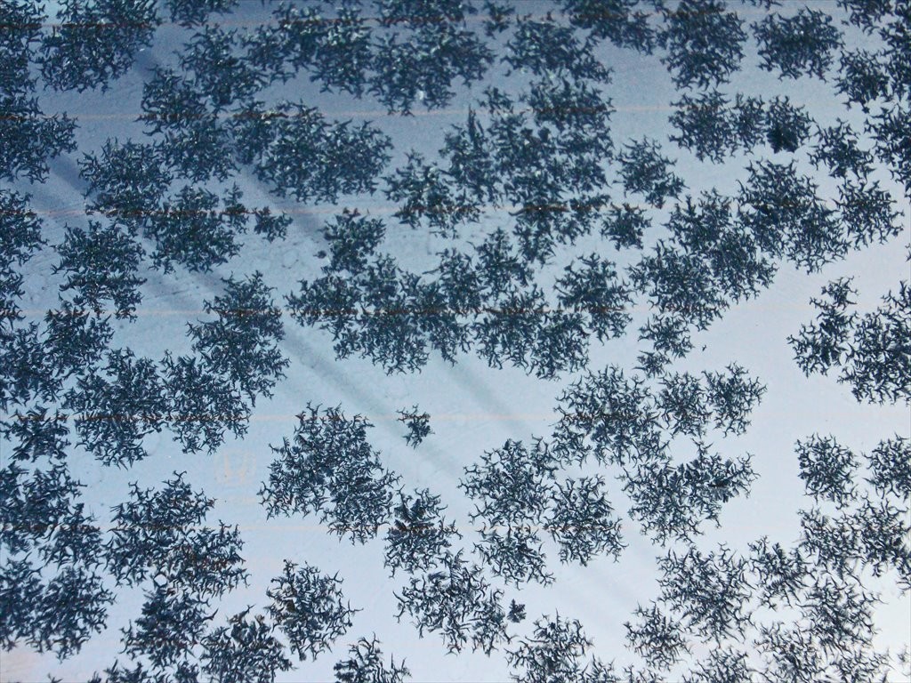 f:id:hashiba511:20191216081747j:plain