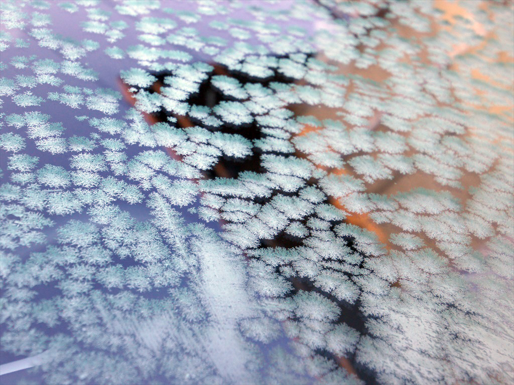 f:id:hashiba511:20191216081816j:plain