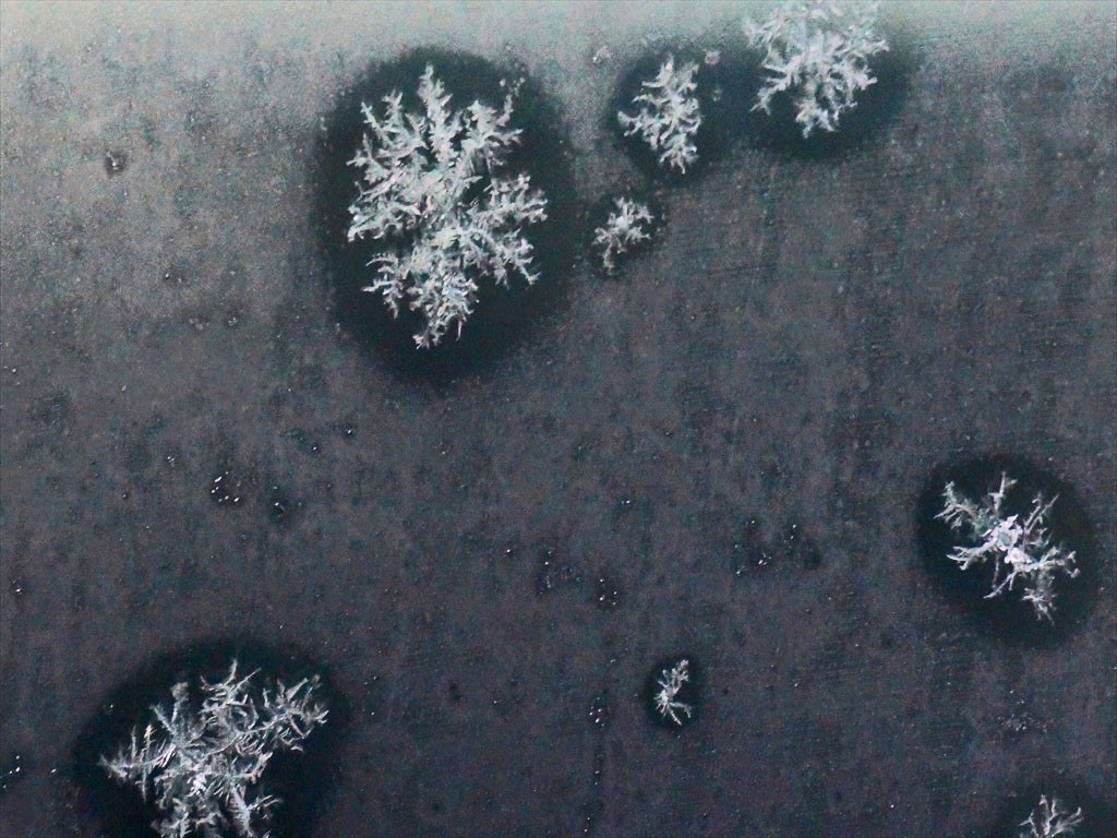 f:id:hashiba511:20191216081840j:plain