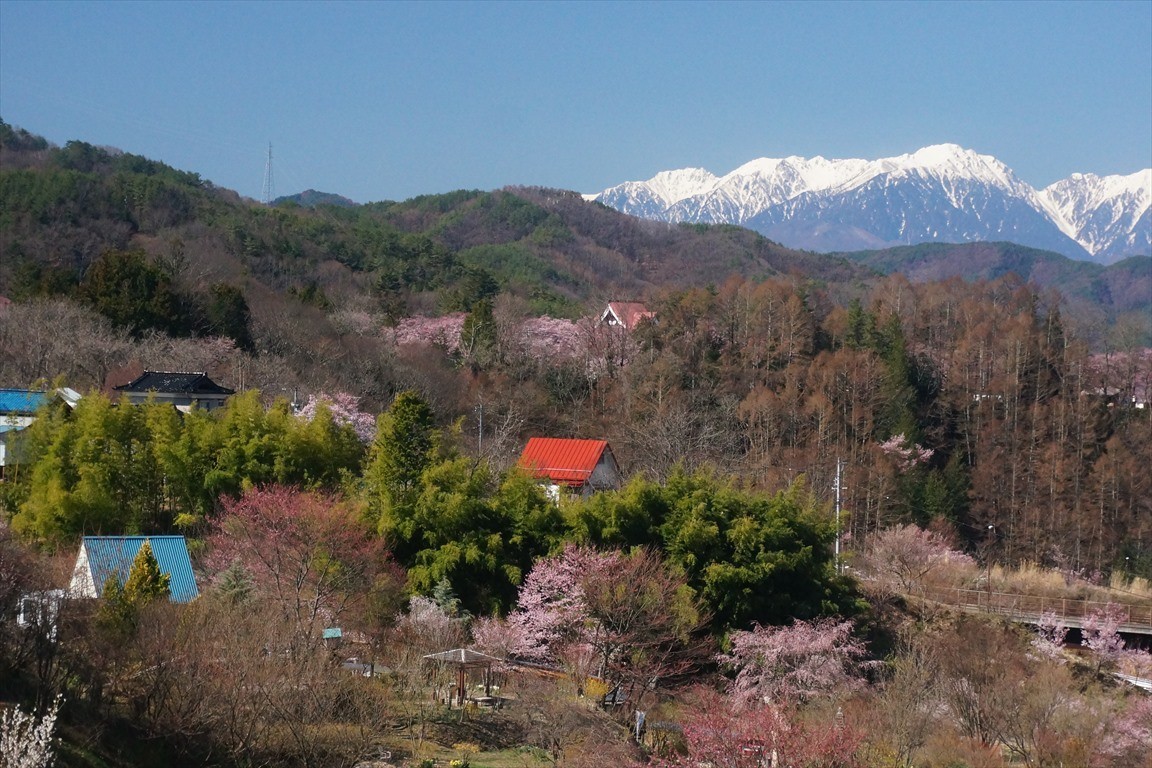 f:id:hashiba511:20200407072504j:plain