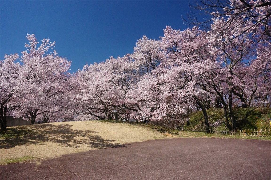 f:id:hashiba511:20200407072737j:plain