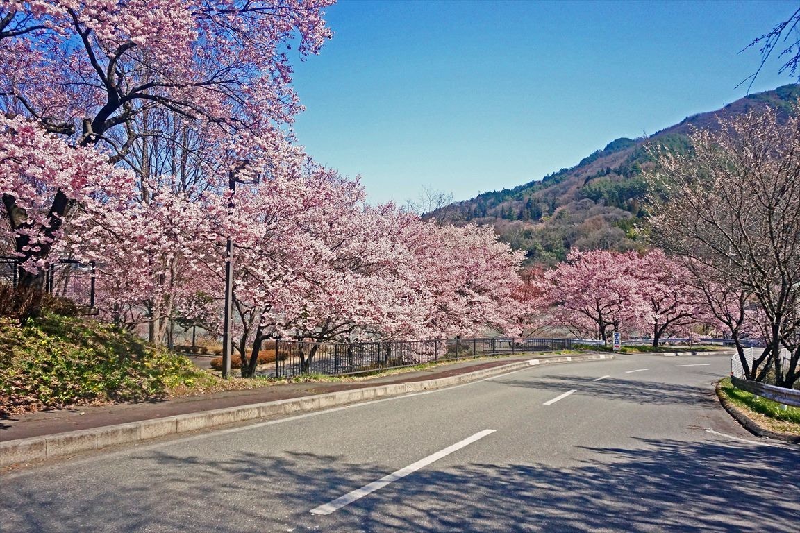 f:id:hashiba511:20200407072823j:plain