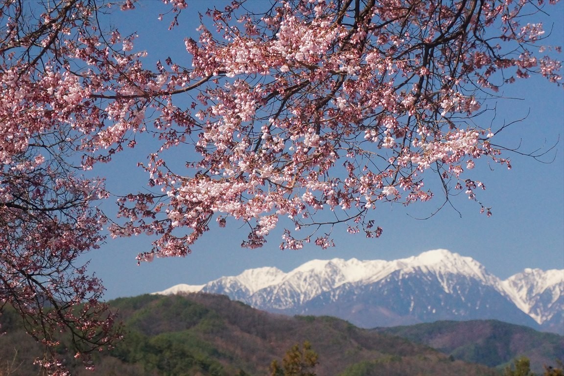 f:id:hashiba511:20200407072859j:plain