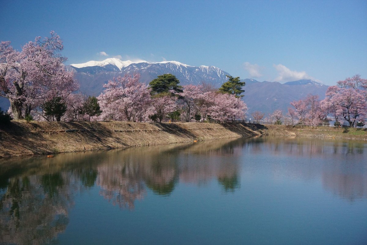 f:id:hashiba511:20200409105935j:plain