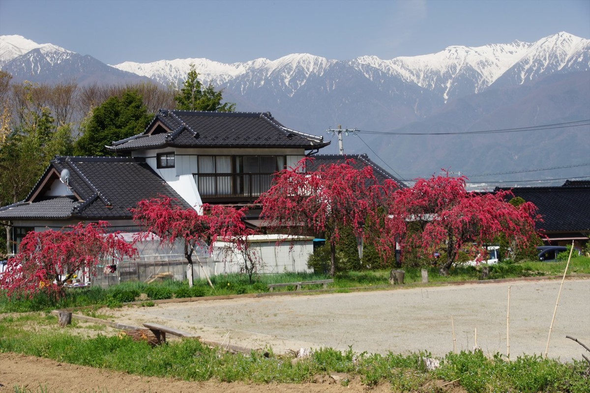 f:id:hashiba511:20200425184524j:plain