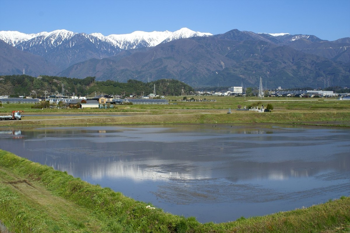 f:id:hashiba511:20200502042309j:plain