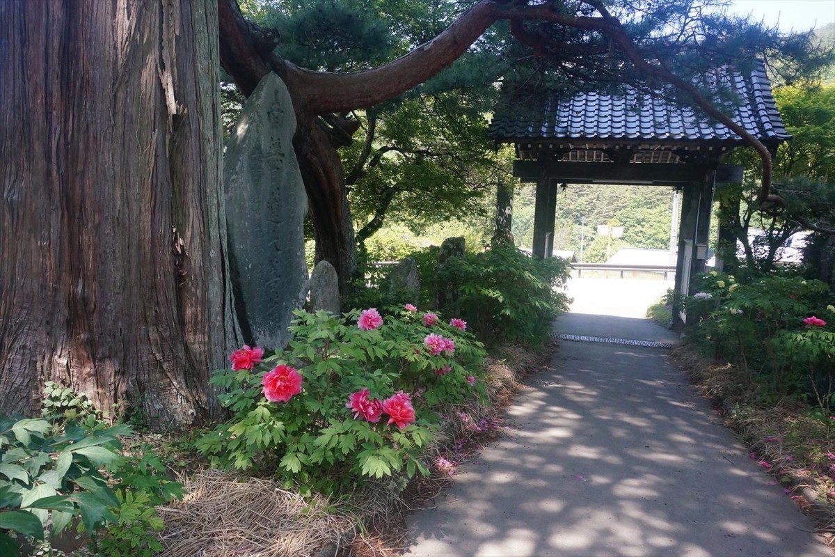 f:id:hashiba511:20200529054101j:plain