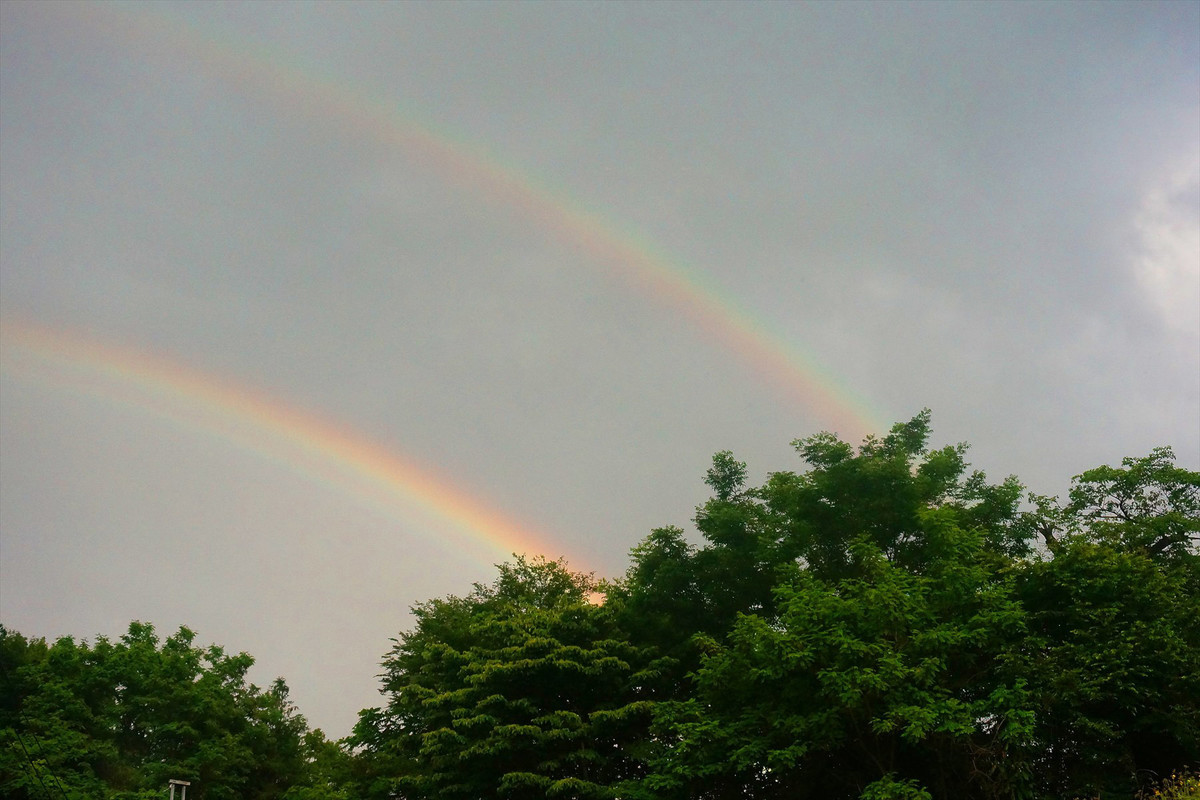 f:id:hashiba511:20200617022325j:plain