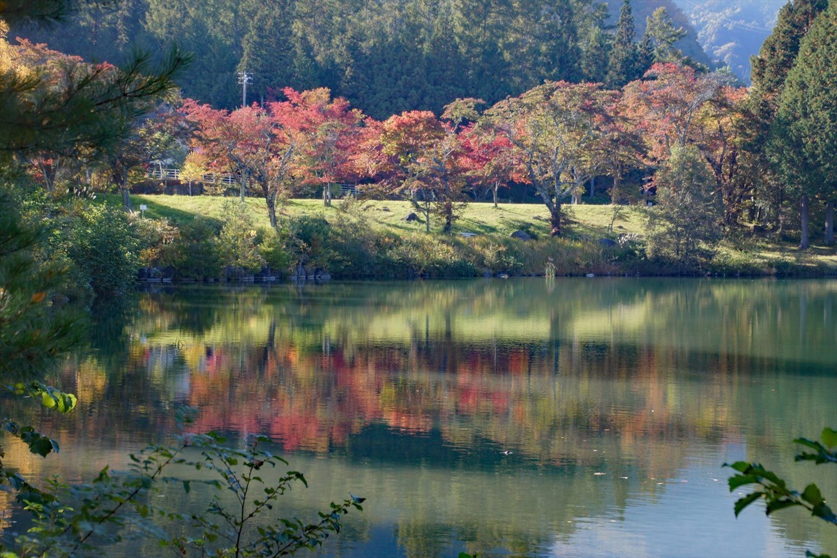 f:id:hashiba511:20201015143710j:plain