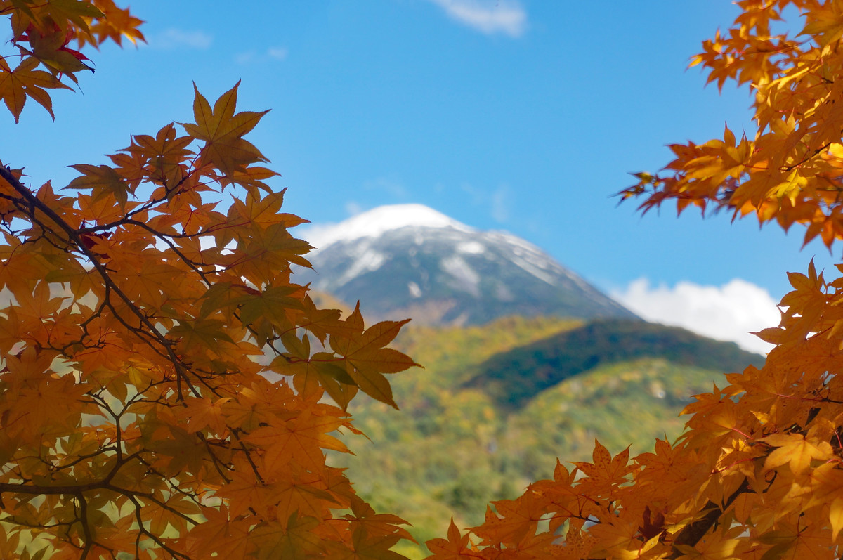 f:id:hashiba511:20201022045635j:plain