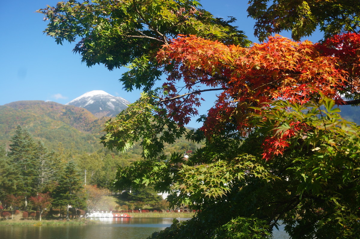 f:id:hashiba511:20201022045836j:plain