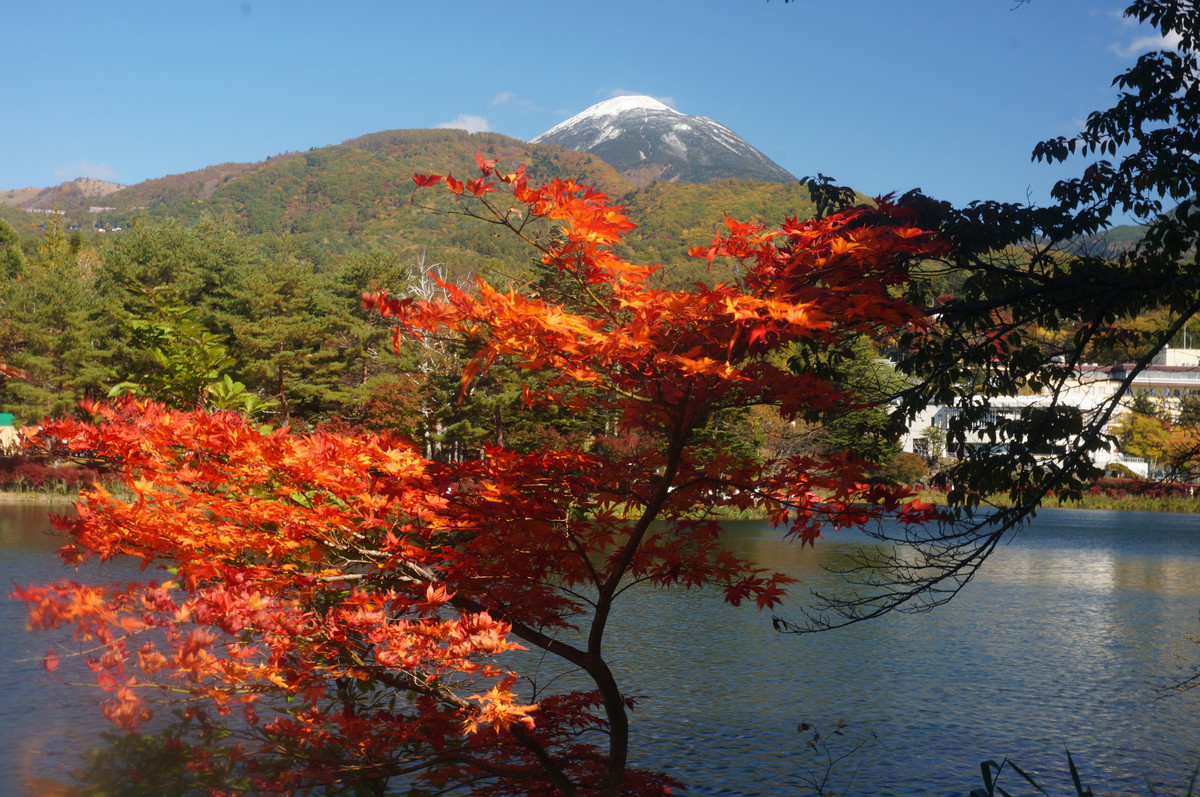 f:id:hashiba511:20201022045919j:plain