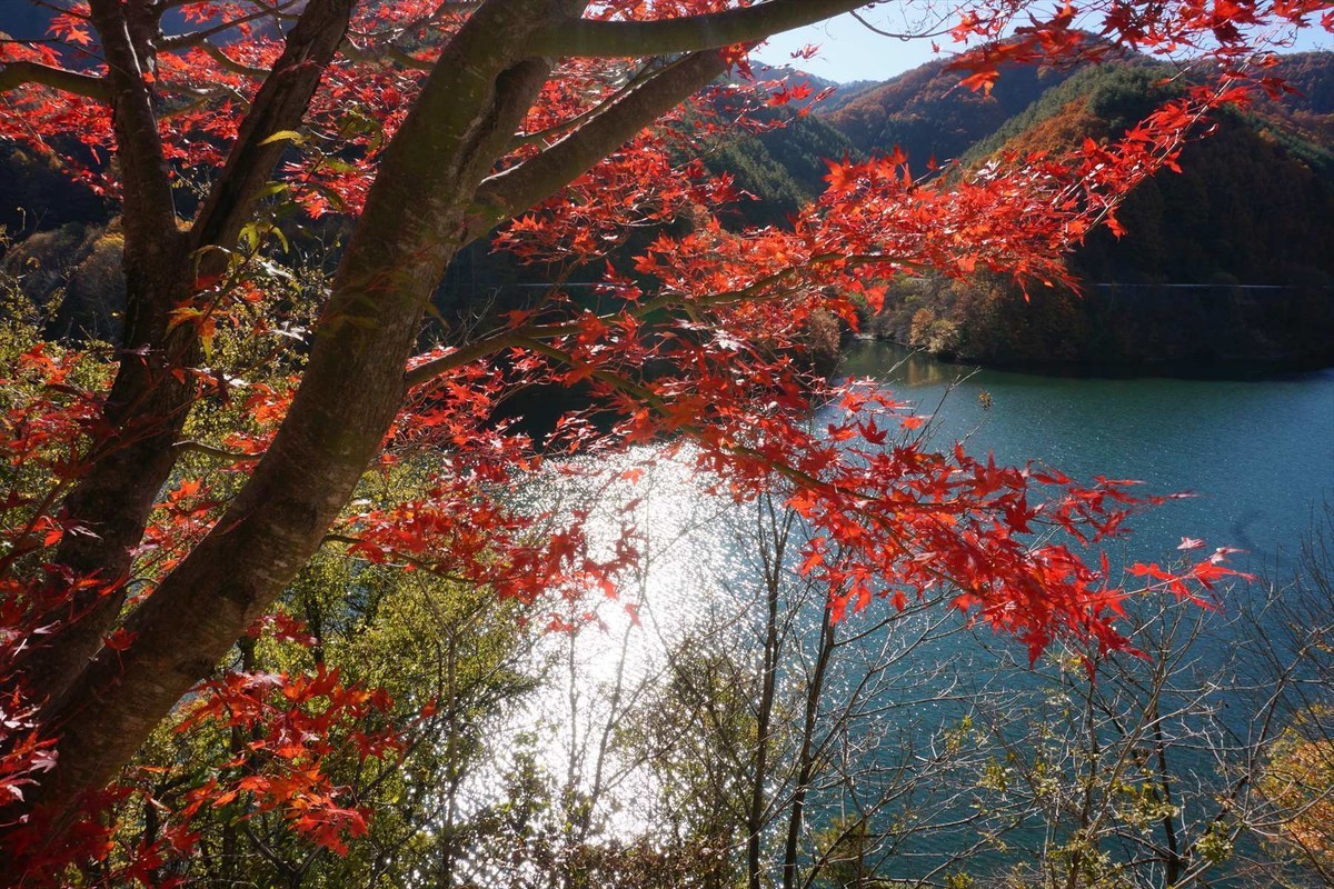 f:id:hashiba511:20201110050511j:plain