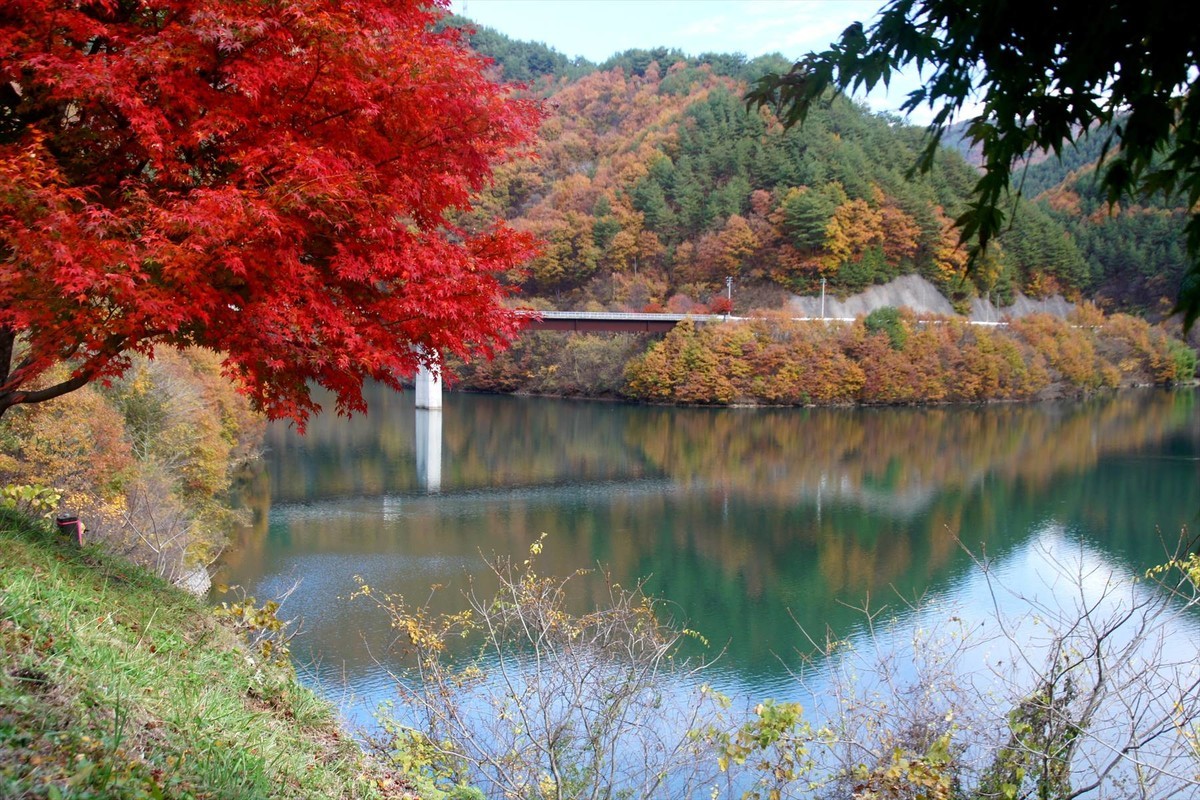 f:id:hashiba511:20201110051743j:plain
