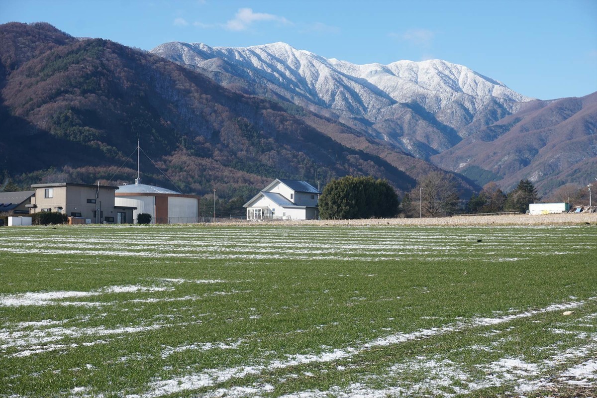 f:id:hashiba511:20201219033222j:plain